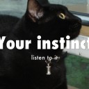 Your instinct