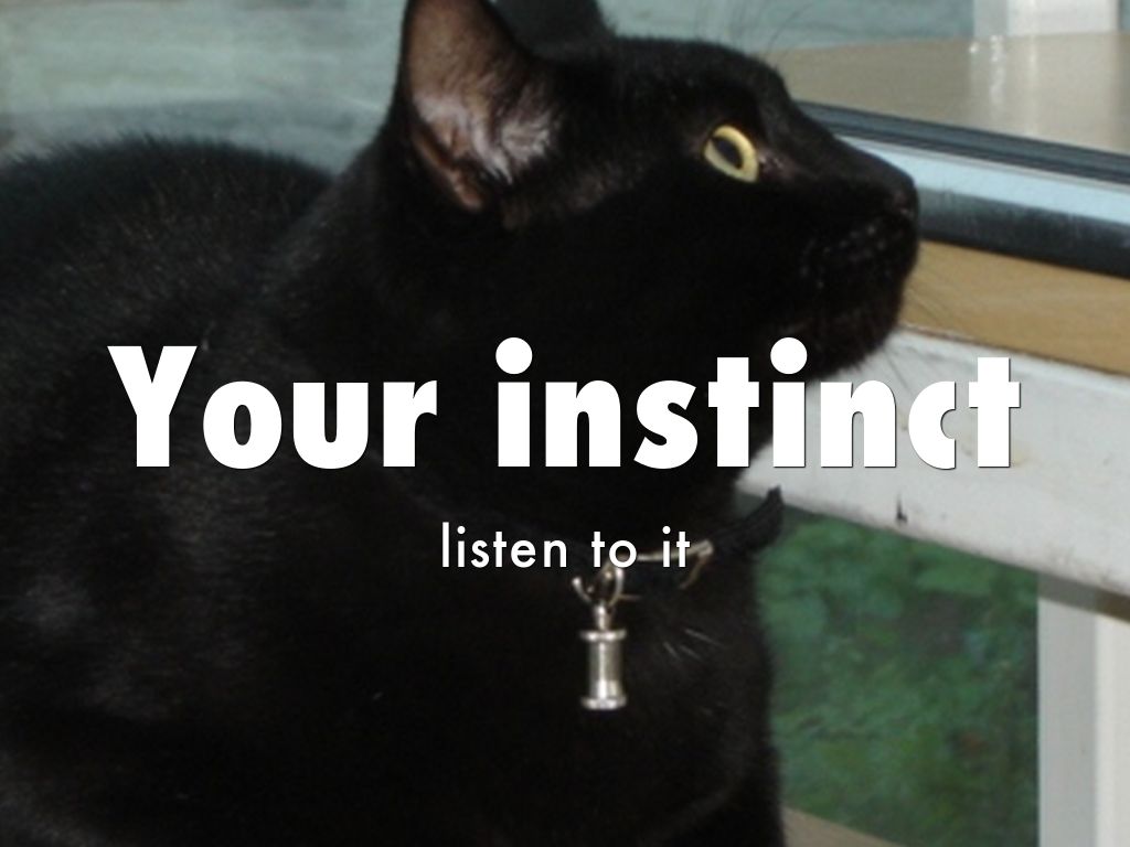 Your instinct