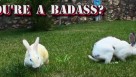 Your Badass Easter